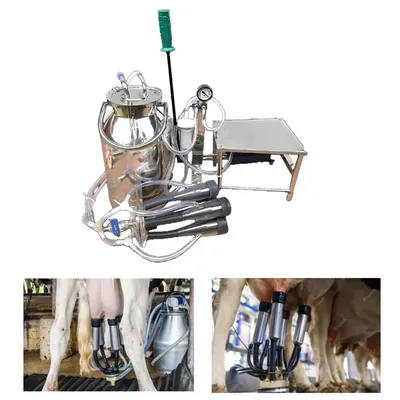 MILK MASTER Full Stainless Steel Manual Operated Milking Machine With 10 Litre Bucket & Sitting Stool