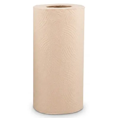 2-Ply Bamboo Disposable Kitchen Roll, Up to 100 Pulls Multi-Purpose Absorbent Wipes for Picnic Travel & Food Truck (Pack-50)