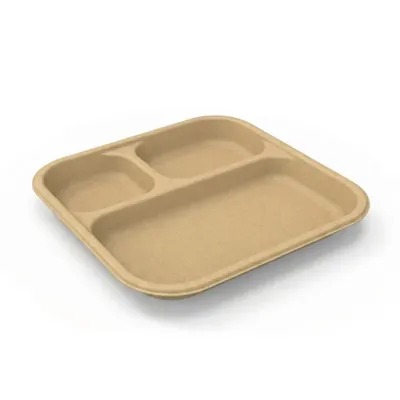 3 CP Chuk 100% Biodegradable Meal Tray for Parties, Catering & Family Events, Eco Friendly Disposable Food Plate (Pack-500 pcs)