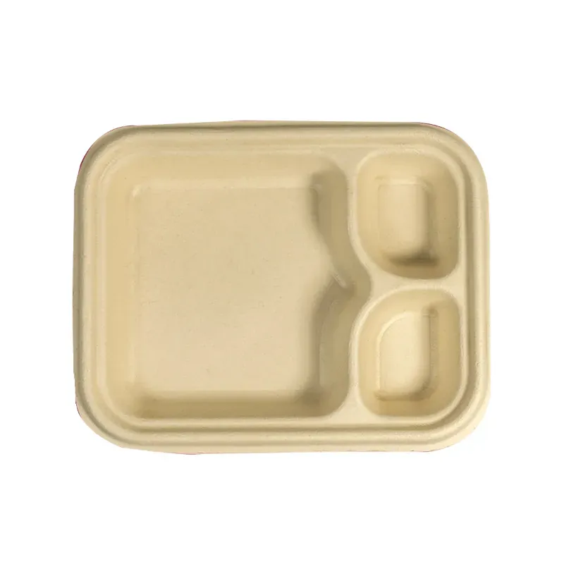 3 CP Chuk 100% Biodegradable & Compostable Snack Tray Oil-Resistant & Microwave Safe Disposable Tableware for Parties (Pack-500 Pcs)