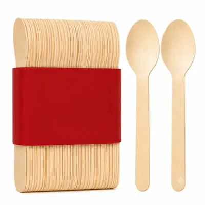 160 mm Biodegradable Wooden Spoons for Catering & Events, Eco-Friendly Disposable Cutlery, 400 Pcs