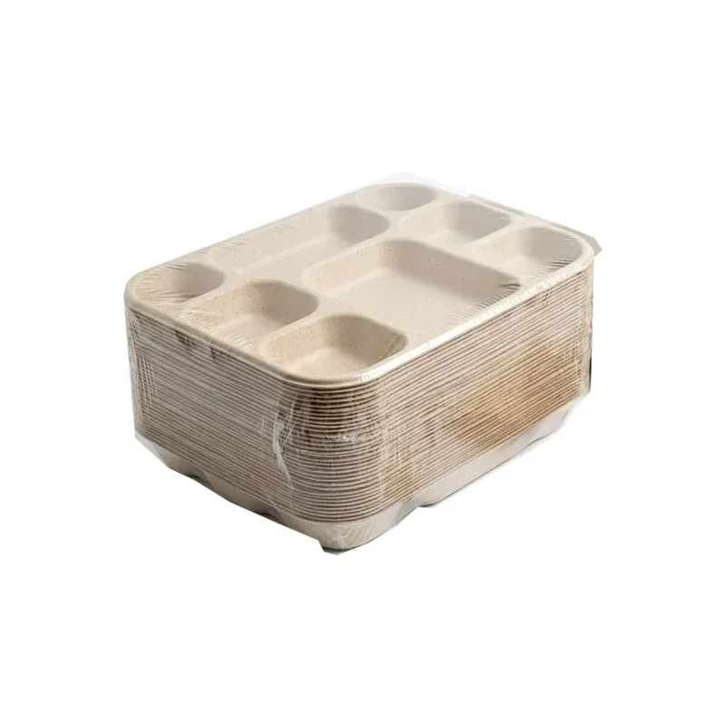 8 Compartment Biodegradable Meal Tray, Eco Friendly Food Plate for Parties, Catering & Family Events (Pack-500 pcs)