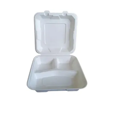 Premium 9 x 9 Inch 3 Compartment Bagasse Clamshell Take Out Food Containers for Food Packaging and Takeaway (Pack-25 pcs)