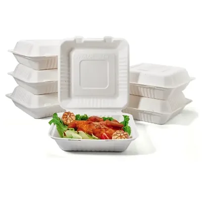 Premium 9 x 9 Inch Bagasse Clamshell Take Out Food Containers for Food Packaging and Takeaway (Pack-25 pcs)