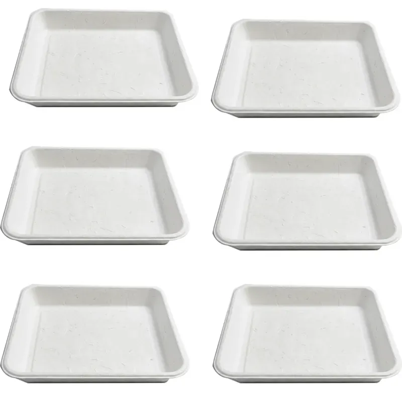 Chuk 7 Inch Biodegradable Rectangular Tray 1000pcs, Sugarcane Bagasse Box for Parties Family Events