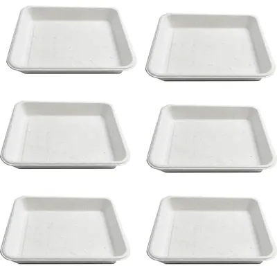 Chuk 7 Inch Biodegradable Rectangular Tray 500pcs, Sugarcane Bagasse Box for Parties Family Events