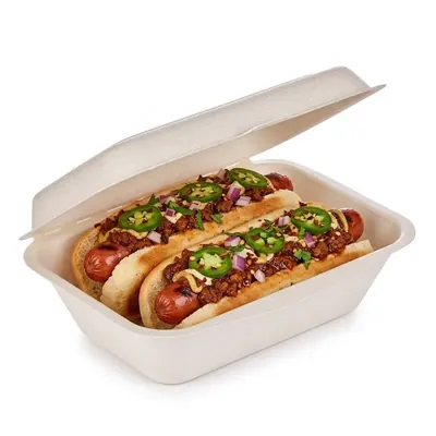 9 x 6 Inch Disposable Clamshell Box, 100% Biodegradable, Compostable, Ecofriendly (Pack-50 Pcs)