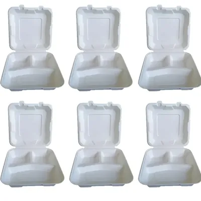 8 x 8 Inch Disposable Clamshell Box with 3 Comparments, Meal Box with Lid, Leak-Resistant for Cake, Burger, Salad, Rice (Pack-50 pcs)