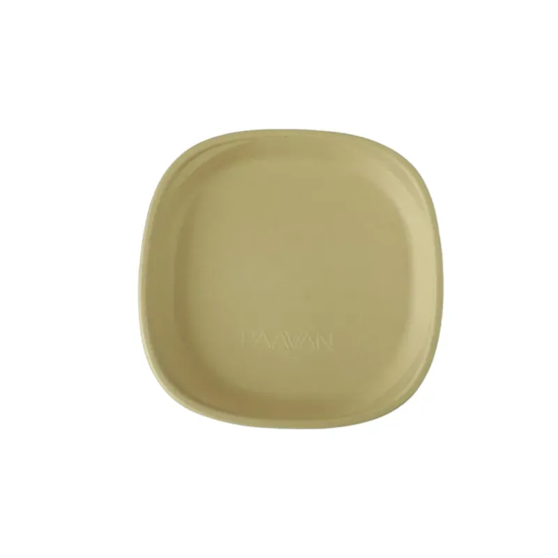PAAVAN (Pack of 50) Biodegradable Dinner Plate 10 Inch, Disposable Bagasse Plates for Serving Snacks, Birthday