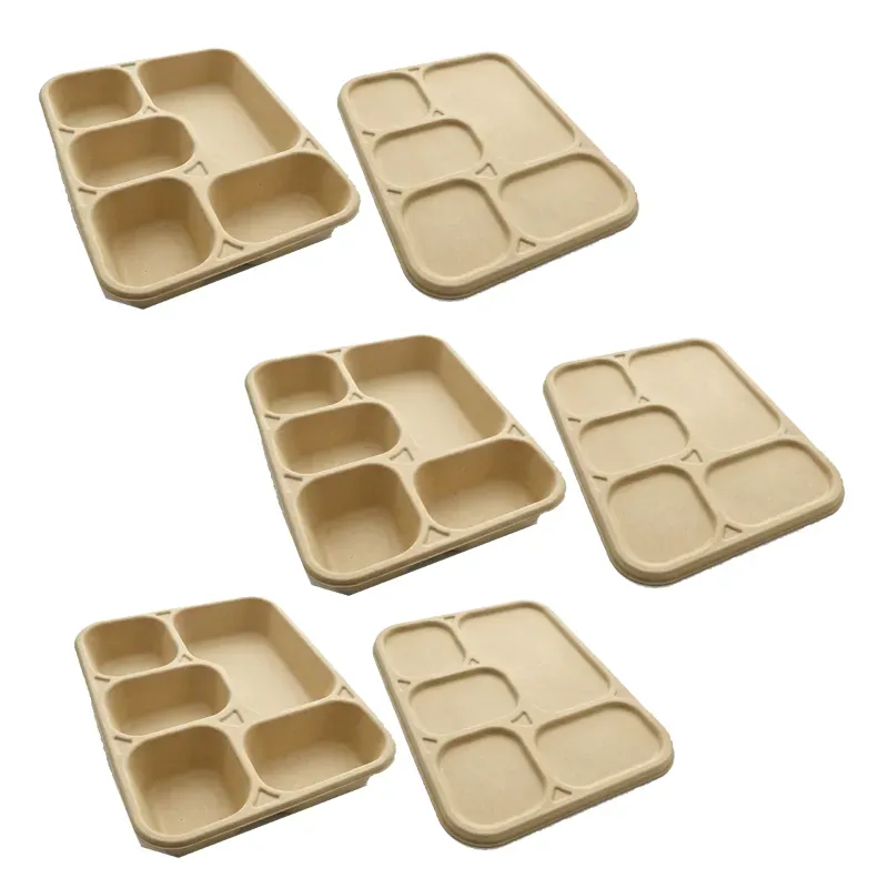 Chuk 5 CP Biodegradable Meal Tray with Lid 1000pcs, Eco Friendly Food Plate for Parties, Catering & Family Events