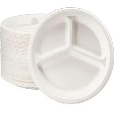10 Inch 3 CP Bagasse Hot Cold Safe Compostable Disposable Round Plates 1000 Pcs