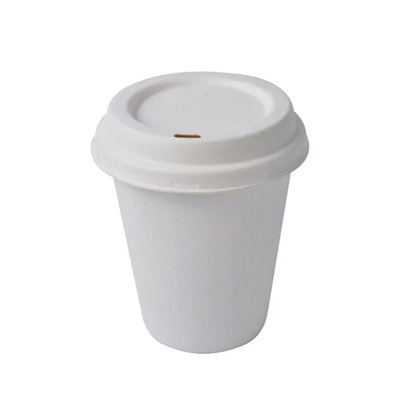 Premium 350 ml 300 GSM Double-Walled Cup with Bagasse Sipper Lid (Pack-25 pcs)