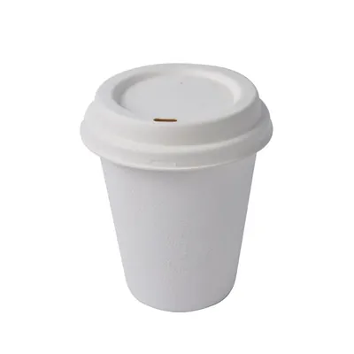 Premium 250 ml 300 GSM Double-Walled Cup with Bagasse Sipper Lid (Pack-25 pcs)
