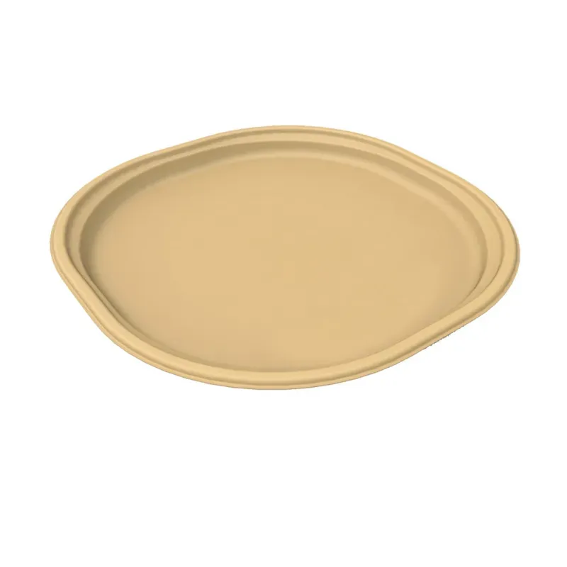 12 Inch Chuk Biodegradable Plates Leak Proof Dinner Plates for Parties & Family Event, 100% Compostable Tableware (Pack-500 Pcs)