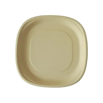 PAAVAN Bagasse Disposable 12 Inch Dinner Plate, Sugarcane Paper Plates for Serving Snacks, Birthday Party (Pack-25 Pcs)