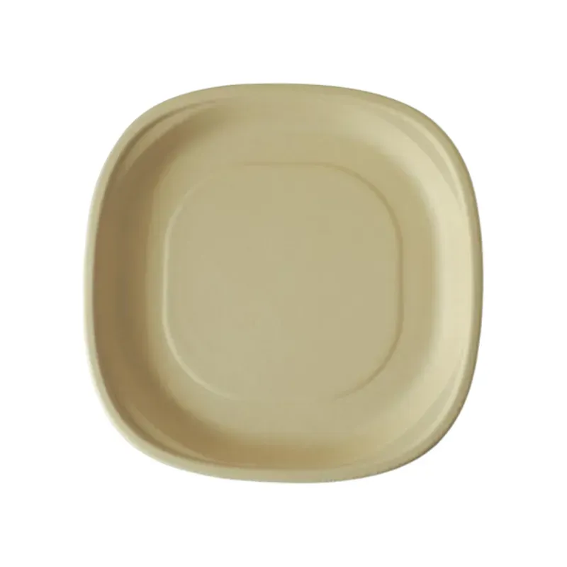 PAAVAN Bagasse Disposable 12 Inch Dinner Plate, Sugarcane Paper Plates for Serving Snacks, Birthday Party (Pack-25 Pcs)