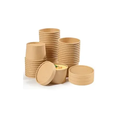 300 ml Disposable Kraft Paper Containers with Lid for Picnic, Travel, Food Truck (Pack-500 pcs)