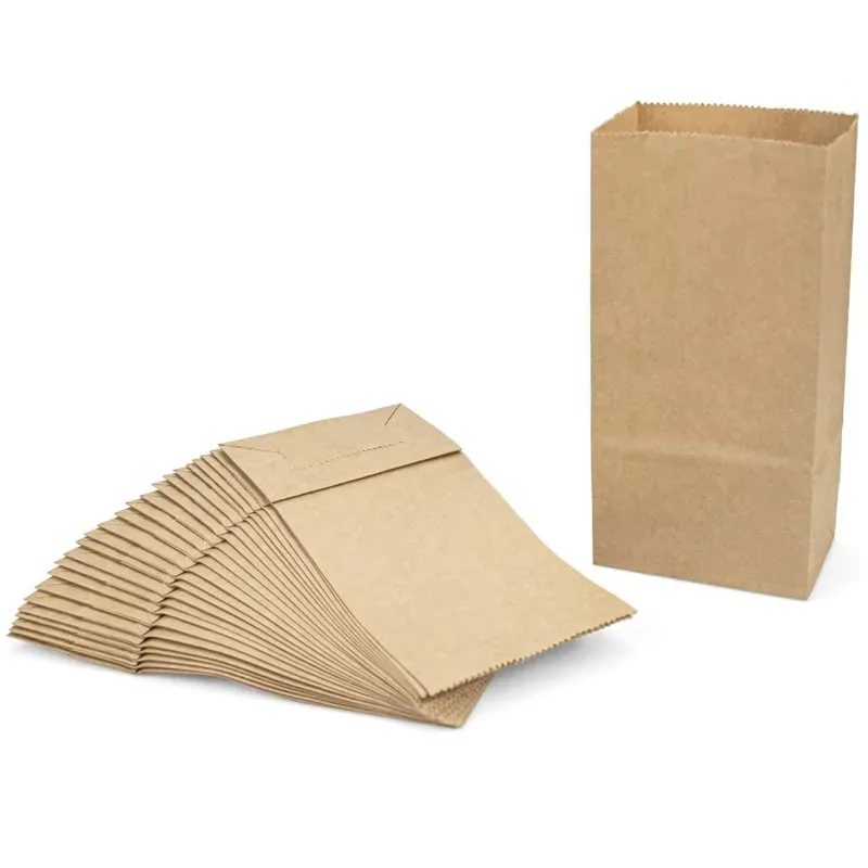 80 GSM, Disposable Imported Kraft Paper Pouch, Pack of 1 kg (13 Inchx8.5 Inchx5 Inch) for Picnic & Travel (Pack of 40)
