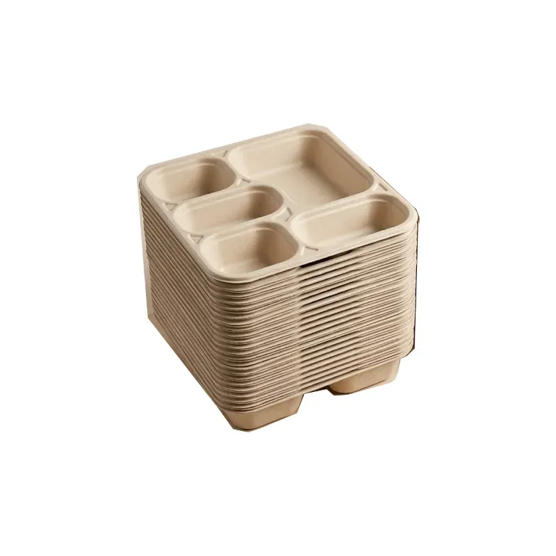 Chuk 5 CP Biodegradable Meal Tray 1000pcs, Eco Friendly Food Plate for Parties, Catering & Family Events