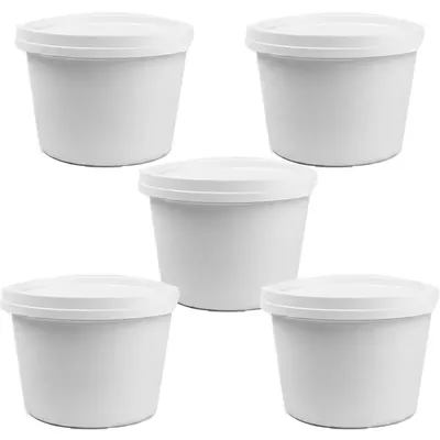 250 ml x 1000pcs White Disposable Paper Tubs with Lid, 270 GSM for Picnic, Travel, Food Truck