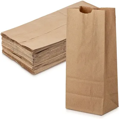 10.5 Inchx8.5 Inchx5 Inch, 80 GSM, Disposable Indian Kraft Paper Pouch for Picnic, Travel, Food Truck (Pack-40)
