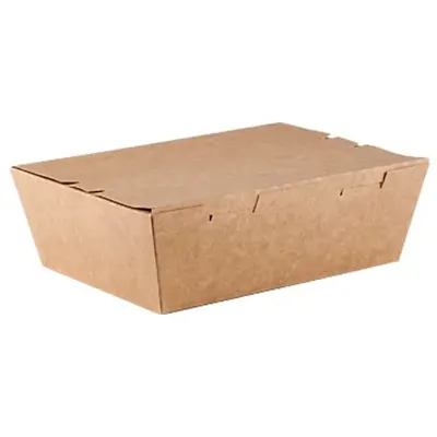 1000 ml, Disposable Rectangle Kraft Food Box- 300 GSM for Picnic, Travel, Food Truck (Pack of 500 PCS)