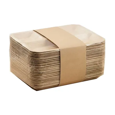 12 Inch Rectangular Areca Palm Leaf 5 Compartment Plates, Disposable Dinnerware, Eco-Friendly for Weddings & Snacks (Pack-50 pcs)