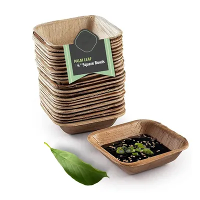 4 Inch x 100pcs Square Areca Palm Leaf Bowls, 180 ml Biodegradable Small Dona Cups, Serving Bowls for Pasta, Soup, Snacks