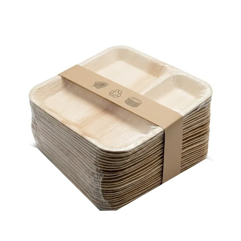 10 Inch Square Areca Palm Leaf 3 Compartment Plates, Disposable Dinnerware, Eco-Friendly for Parties, Weddings & Snacks (Pack-50 pcs)