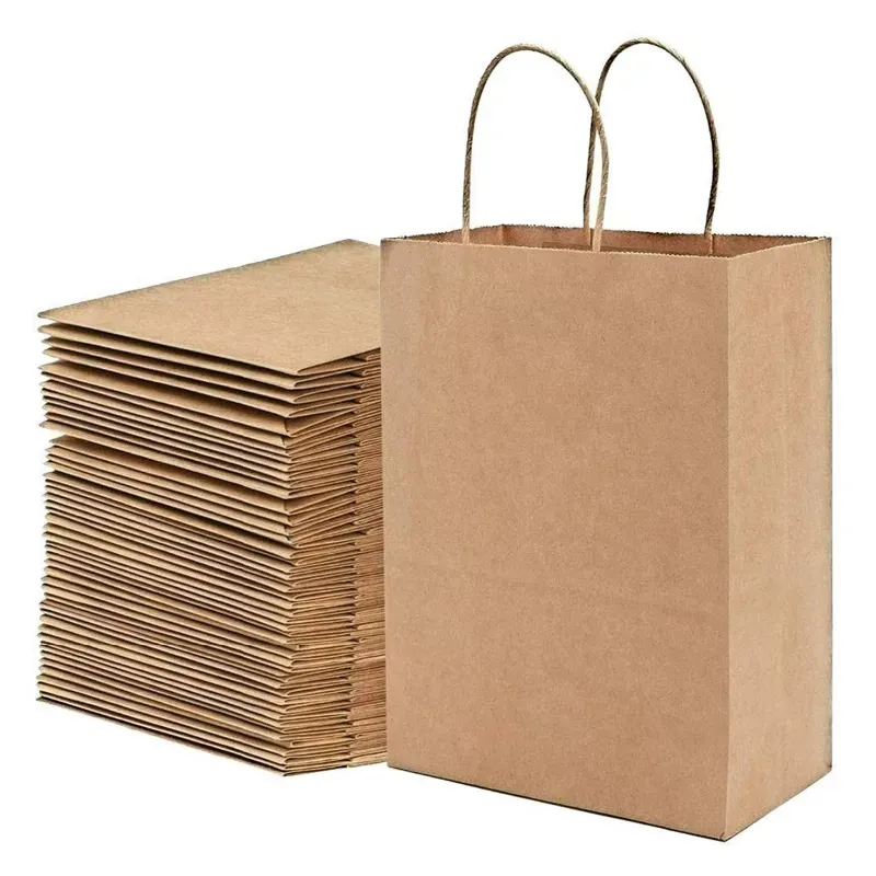 (Pack-500), 80 GSM Disposable Paper Bag of (10 Inchx9 Inchx6 Inch) For Picnic Takeout with Durable Handle