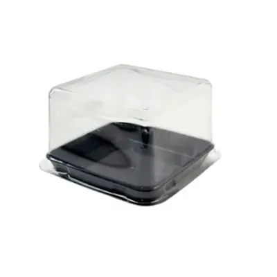 Premium 1200 Pcs, 3 x 3 PET Pastry Container with 33 mm Transparent Lid for Indoor and Outdoor Events