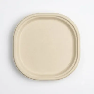 9 Inch Chuk Disposable Dinner Plates 100% Biodegradable & Leak Proof Tableware for Parties and Family Events (Pack-500 pcs)