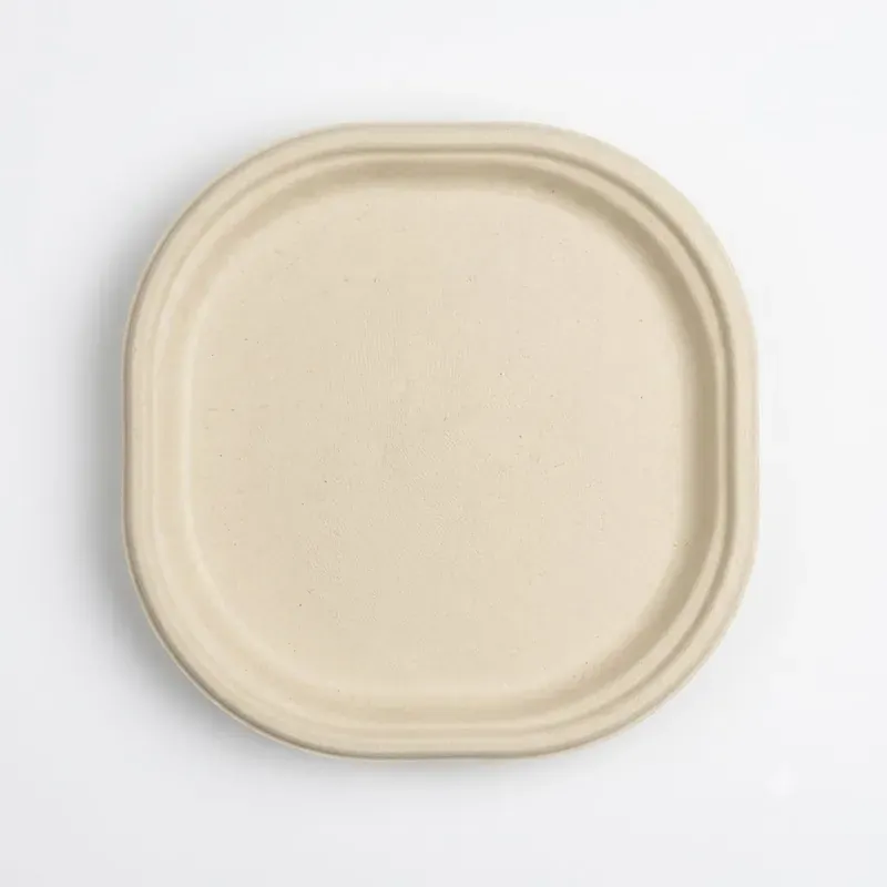 9 Inch Chuk Disposable Dinner Plates 100% Biodegradable & Leak Proof Tableware for Parties and Family Events (Pack-500 pcs)