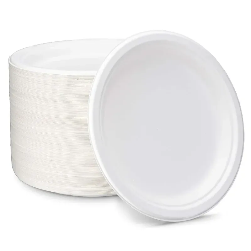 CANEJOY, 6 Inch x 100pcs Round Biodegradable Sugarcane Disposable Plates, Leak-Proof for Catering & Everyday Meals