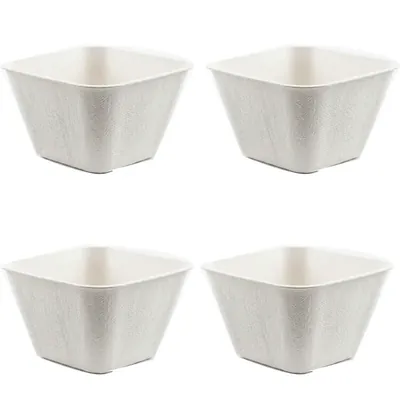 Chuk 90 ml Biodegradable Sauce Container 1000pcs, Sugarcane Bagasse Box for Parties Family Events