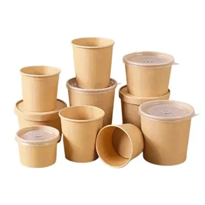 750 ml, 400 GSM Tall Kraft Containers (1000 Pcs)with PET Lid