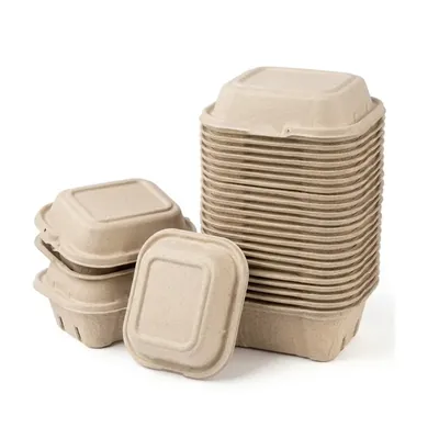 Chuk 750 ml Biodegradable Tamper Proof Container with Lid 500pcs, Sugarcane Bagasse Box for Parties, Family Events