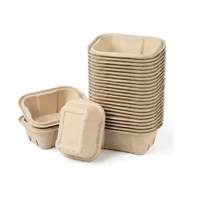 Chuk 750 ml Biodegradable Tamper Proof Container 500pcs, Sugarcane Bagasse Takeout Box for Parties, Family Events