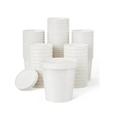 1000 Pcs, 700 ml White Disposable Paper Container with Lid for Salads, Soups, Desserts