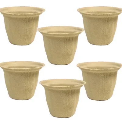 Chuk 110 ml Biodegradable Glass 500pcs, Sugarcane Bagasse Glass for Parties Family Events