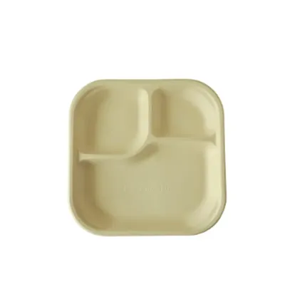 PAAVAN 3-Compartment Sugarcane Bagasse Eco-Friendly Meal Tray With Lid (Pack-50)