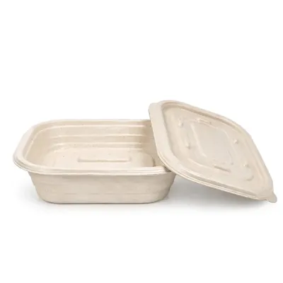 VEGNAR 500 ml Bagasse Rectangular Containers with Lids, Microwave Safe Leakproof Takeout Box (Pack of 300)