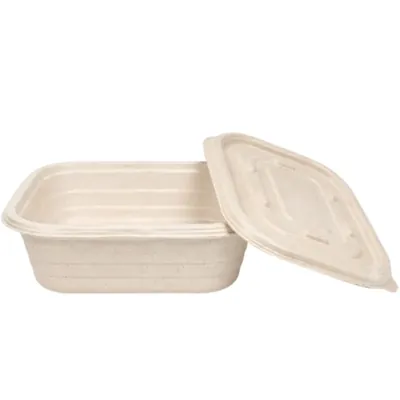 VEGNAR 750 ml Bagasse Rectangular Containers with Lids, Microwave Safe Leakproof Takeout Box (Pack of 300)