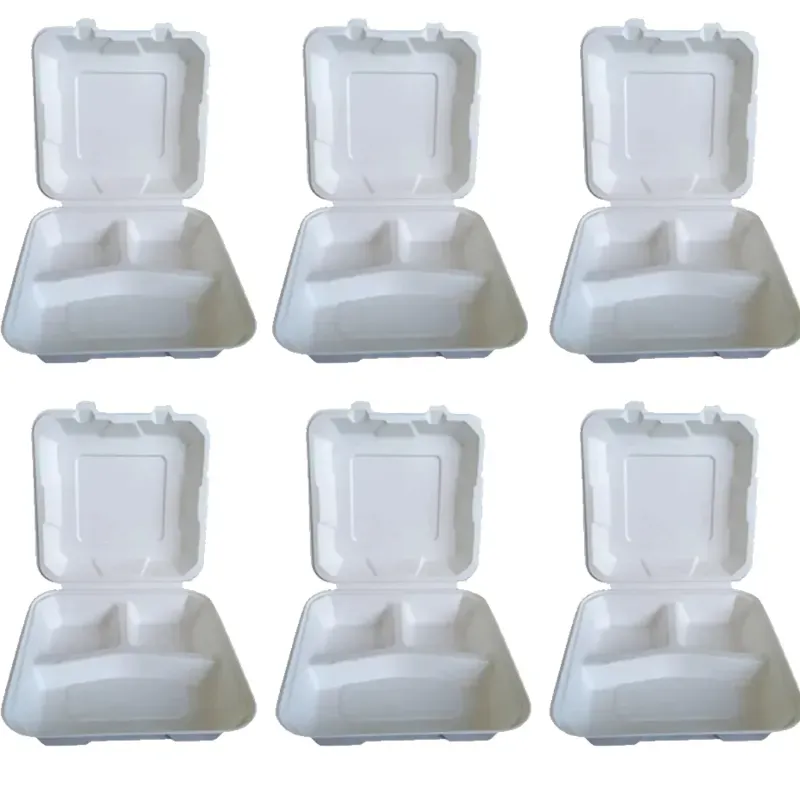 Chuk 9 x 9 Inch, 100% Biodegradable 3 Compartment Clamshell for Parties and Family Events (Pack-500 Pcs)