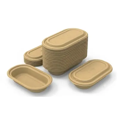 Chuk 500 ml Biodegradable Container with Lid 500pcs, Sugarcane Bagasse Bowl for Parties Family Events