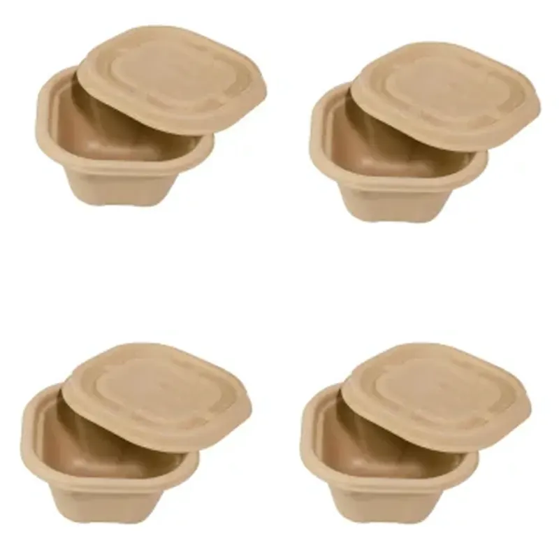 Chuk 500 ml Biodegradable Delivery Container with Lid 500pcs, Sugarcane Bagasse Bowl for Parties Family Events