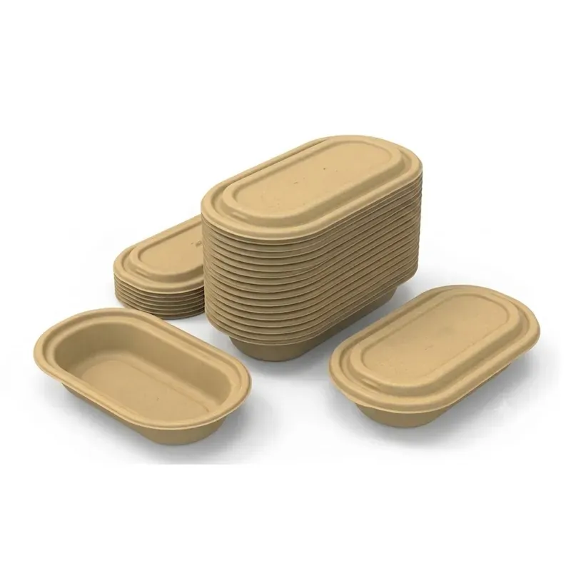 Chuk 750 ml Biodegradable Container with Lid 500pcs, Sugarcane Bagasse Bowl for Parties Family Events
