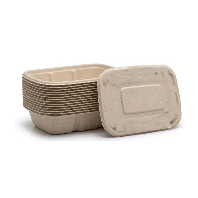 Chuk 750 ml Biodegradable Delivery Rectangular Container with Lid for Parties, Catering & Family Events (Pack-500 pcs)
