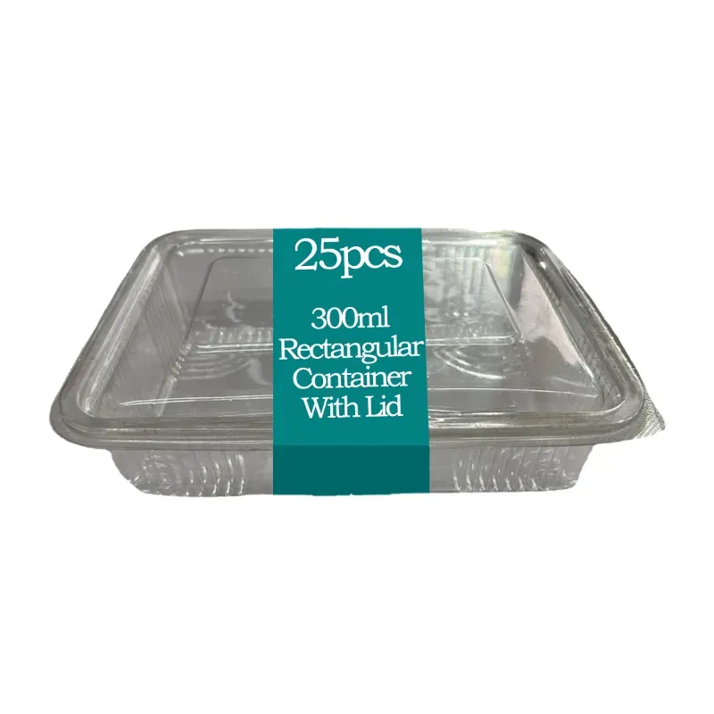 25pcs 300 ml Rectangular Transparent Container With Lid