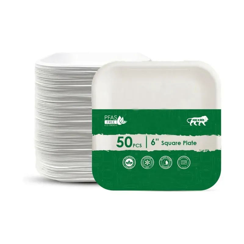 6 Inch Square Bagasse Disposable Plates for Birthday Wedding Party Catering & Events (Pack-50 Pcs)